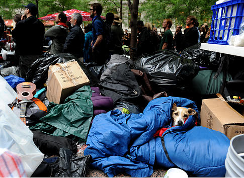 ZUCCOTTI PARK PROTEST OWS