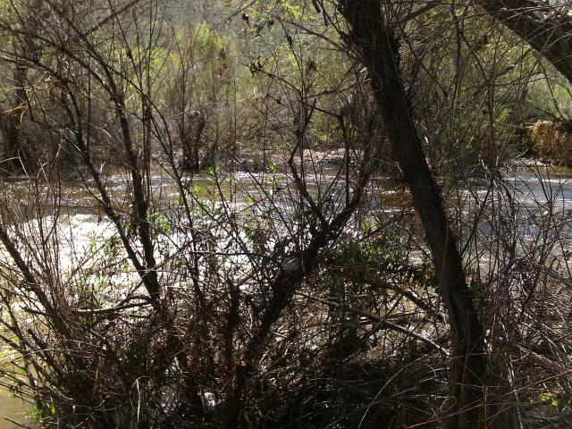 Verde River