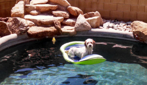 Shawn on raft
